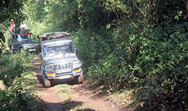 activities in dandeli