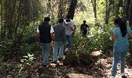 activities in dandeli